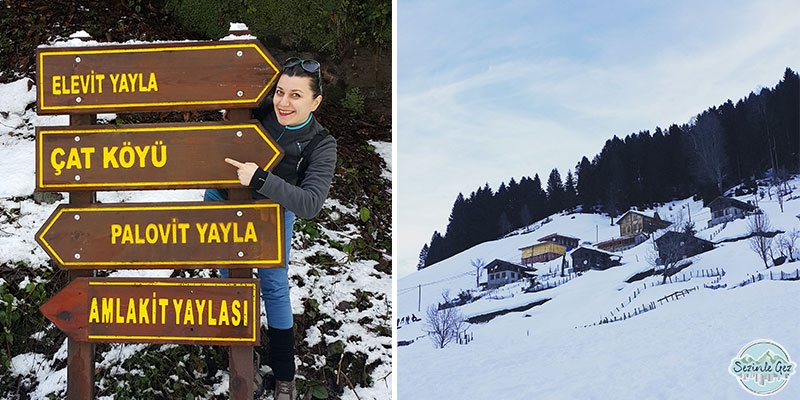Ayder Yaylası Kaçkarlar