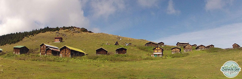 Sal Yaylası, Rize