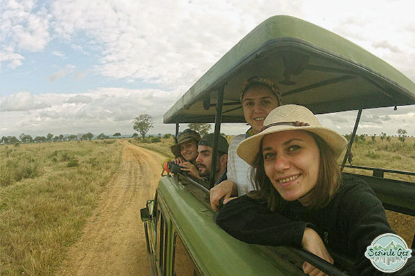 Tanzanya safari